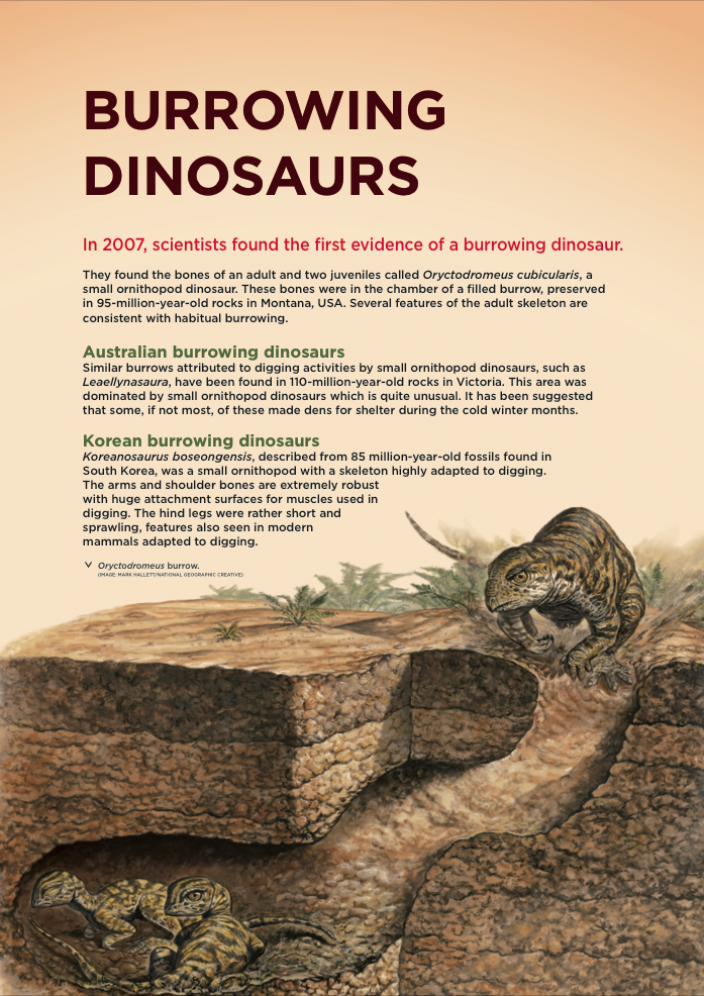 Burrowing Dinosaurs | Western Australian Museum